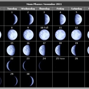 Что нужно делать на приусадебном участке по лунному календарю в ноябре?