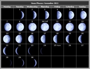 Лунный посевной календарь 
