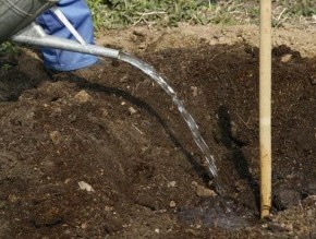Поливка сада:что делать,чтобы не растекалась вода?