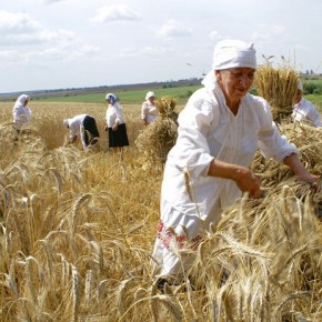 Закарпатская власть почтила крестьян