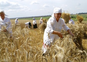 Закарпатская власть почтила крестьян