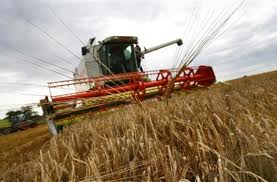 Итоги завершения комплекса весенне-полевых работ и подготовка к уборке ранних зерновых колосовых культур урожая