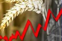 Ценовой тренд на мировом рынке зерна 11.10.2013