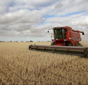 В корзину фермеру - аграрные расписки и ... европерспективы