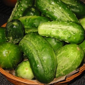 Как правильно заготовить огурцы на зиму