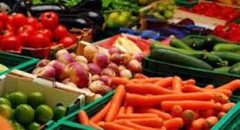 Как купить на рынках Запорожья не испорченный продукт