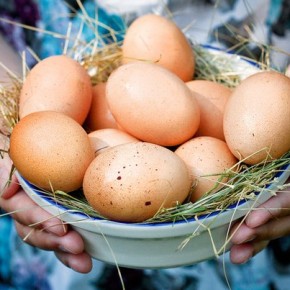 Производство яиц в Украине в январе- октябре 2015 сократилось почти на 15%