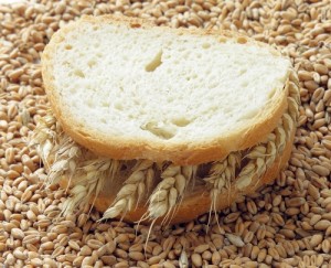 Анализ производства зерна