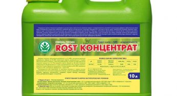 Наш выбор — Rost-концентрат