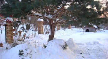 День за днем — февраль