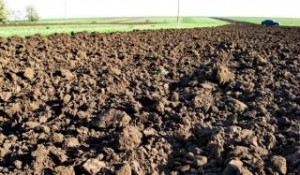 Районирования пашни Украины по свойствам почвы