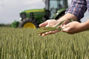 Снижение валового производства зерновых