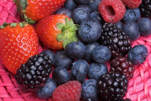 Выращивание ягодных культур в Украине