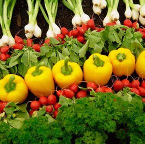 Как иметь свежие овощи на Пасхальный стол