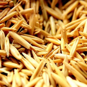 На Христиновщине обмолотили пшеницу с 220 гектаров