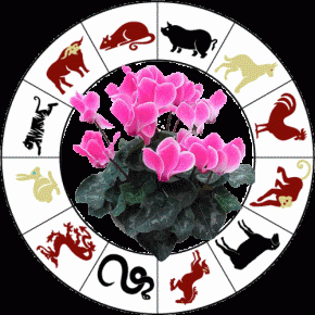 Цветочный гороскоп для каждого