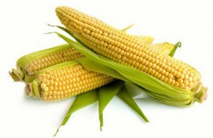 Кукурузная дюймовочка - карликовая кукуруза