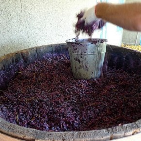 Как приготовить виноградное вино в домашних условиях