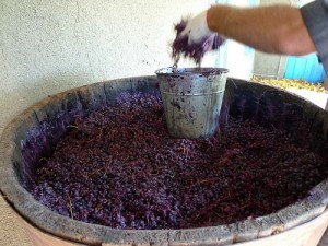 Как приготовить виноградное вино в домашних условиях