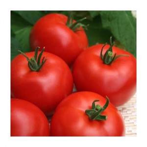 Сорта томатов для гурманов и эстетов