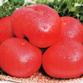 Прекрасные сорта розовоплодных томатов