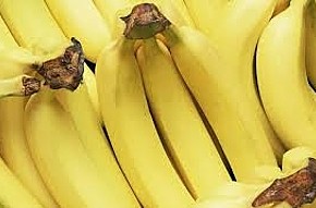 Николай Бага растит банан, арбузы и собирает деревья-мутанты