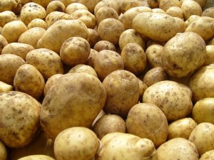  Как сохраняют товарный картофель 