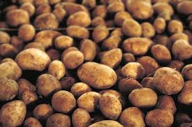 Георгий Данько собирает до 450 килограммов картофеля с сотки