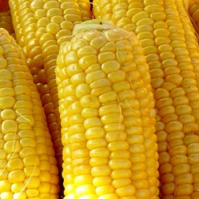 Сколько витаминов в кукурузе