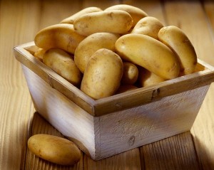 Как выбрать высококачественный семенной картофель