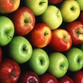 Чтобы правильно выбрать сорт яблони