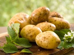 Сажать картофель лучше в апреле