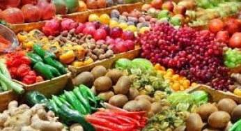 Производители растениеводческой продукции за 9 месяцев принесли в Украину почти 6 миллиардов долларов