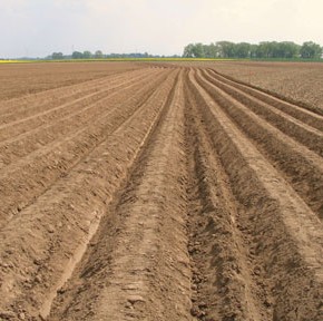 Плодородие почв в Украине падает