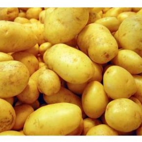 Рынок картофеля: производство увеличивается, а цены снижаются