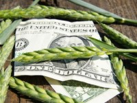 Отмена налоговых льгот может обвалить сельское хозяйство Украины