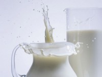 В I квартале 2015 экспорт молочных продуктов вырос