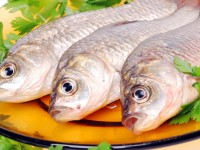 В 2016 году в Украине появится сертификат происхождения рыбы