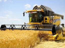 Намолочено 10 млн тонн зерна нового урожая