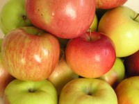 Объем производства яблок в Украине не уменьшился