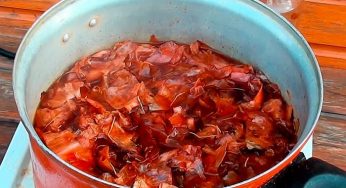 Опрыскивание огурцов луковой шелухой: рецепты и нормы внесения