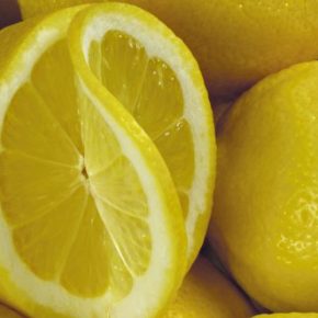 Лимон - польза и вред, состав, калорийность, содержание полезных веществ. Как вырастить лимон в домашних условиях, рецепты приготовления блюд