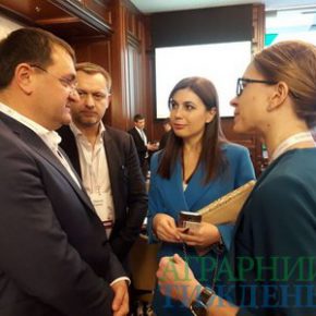 Мировой рынок бобовых - рынок возможностей