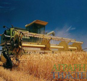 Украина ожидает рекордное количество урожая и экспорта зерновых