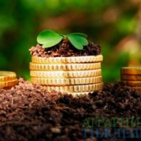 Как пользоваться новыми прямыми дотациями для фермеров