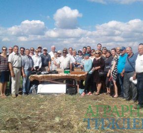 Время адаптировать сельское хозяйство