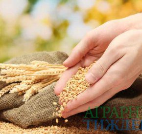 УЗА предлагает «прожаривать» пшеницу на мукомольных предприятиях Индонезии