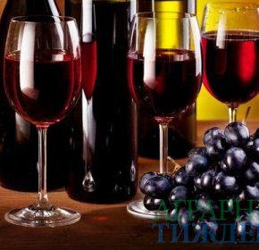 Новый Налоговый кодекс Украины относительно использования сырья для изготовления вин коньяков противоречит европейскому законодательству