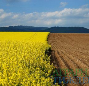 Аграрный комитет рекомендует Верховной Раде продлить запрет на продажу сельхозземель до 2020 года