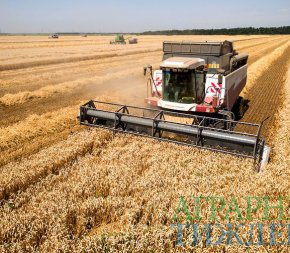 Украиной собрано рекордных 70 миллионов тонн зерна
